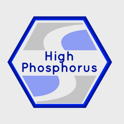 electroless nickel high phosphorus